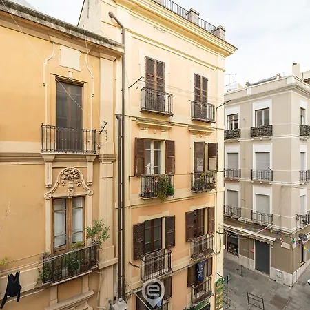 Apartment White Dream